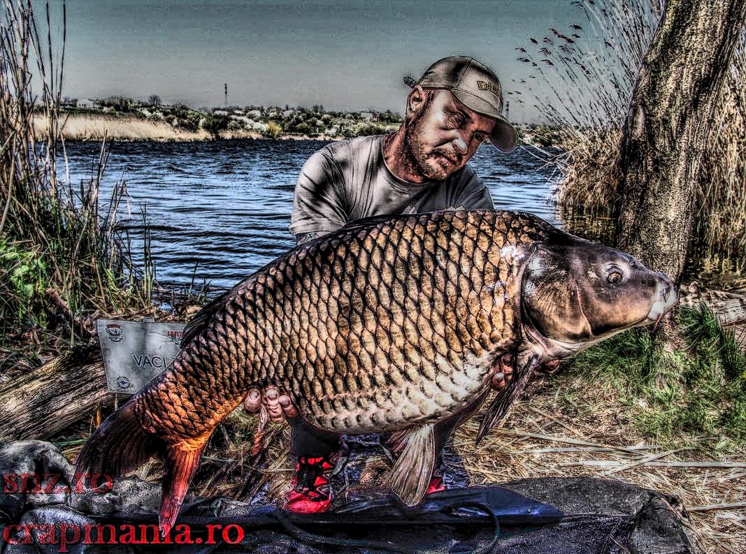 Cupa SBS (3) - 2013 - 1011737hdrmode2.JPG